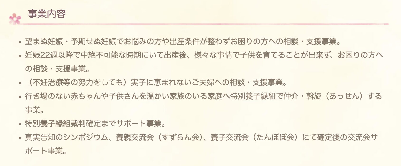 Babyぽけっとの事業内容