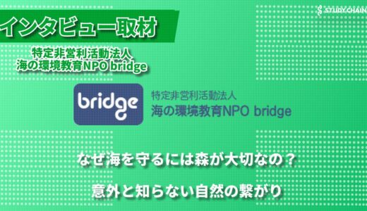 海から始まる環境教育―特定非営利活動法人海の環境教育NPO bridgeが目指す、次世代のための持続可能な未来