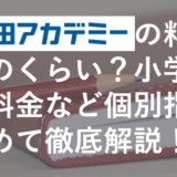 早稲田アカデミーの料金の相場はどのくらい？小学生や中学生の料金など個別指導も含めて徹底解説！