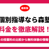 個別指導なら森塾の料金を徹底解説！他塾と比較しながら紹介！実際の口コミ評判も