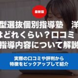総合型選抜個別指導塾　洋々の料金はどれくらい？口コミ・評判や指導内容について徹底解説！
