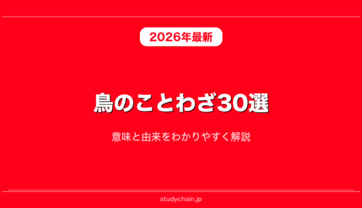 鳥のことわざ30選！意味と由来をわかりやすく解説